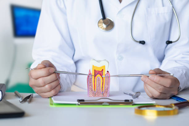 Best Emergency Tooth Extraction in Horseshoe Bay, TX